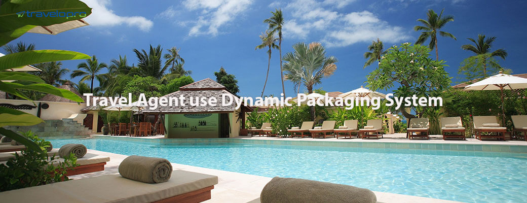 Dynamic Packaging