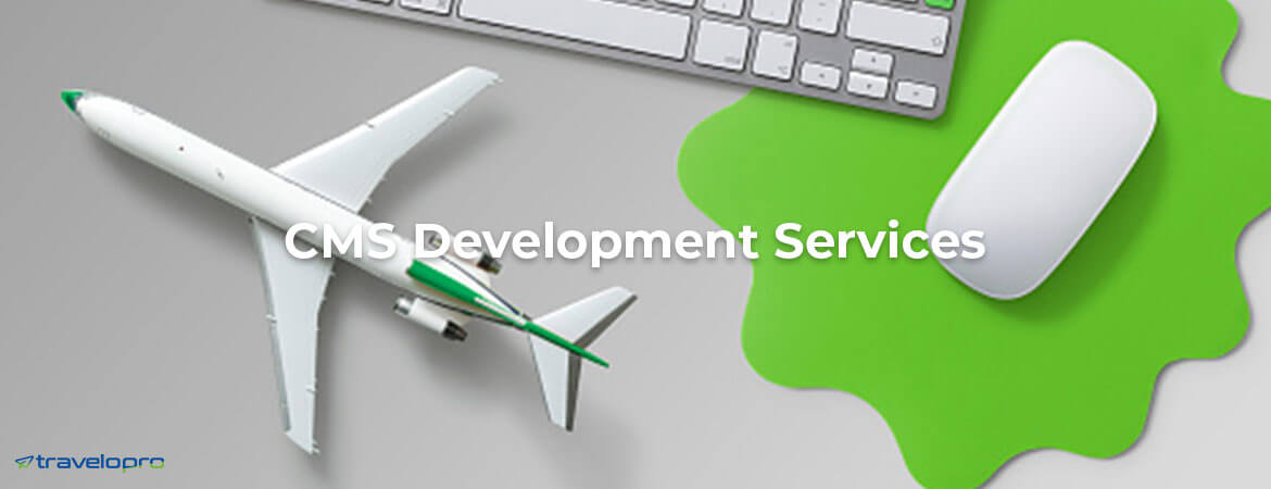 cms-development-services