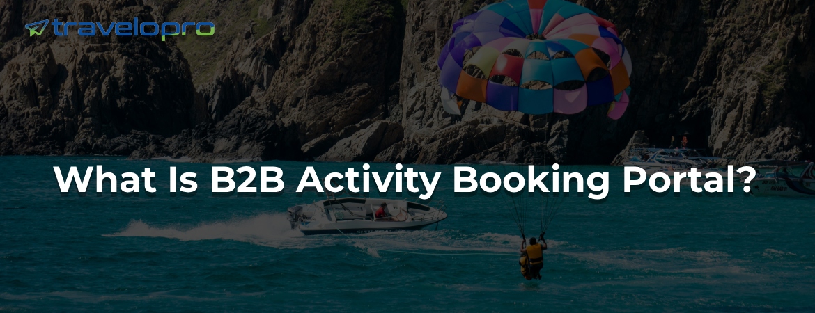 What Is B2B Activity Booking Portal?