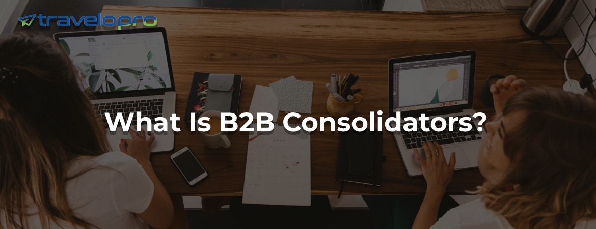 What Is B2B Consolidators?