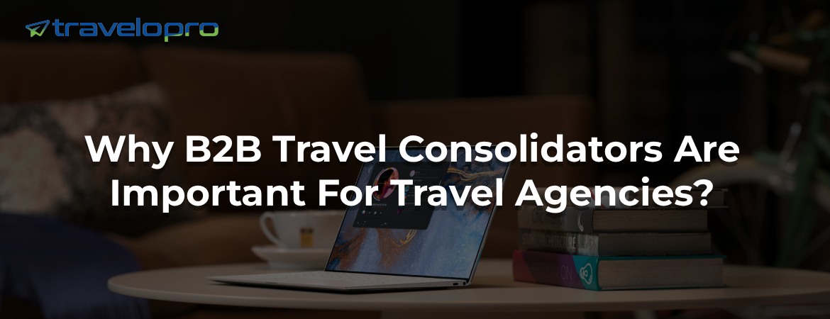 Why B2B Travel Consolidators Are Important For Travel Agencies?