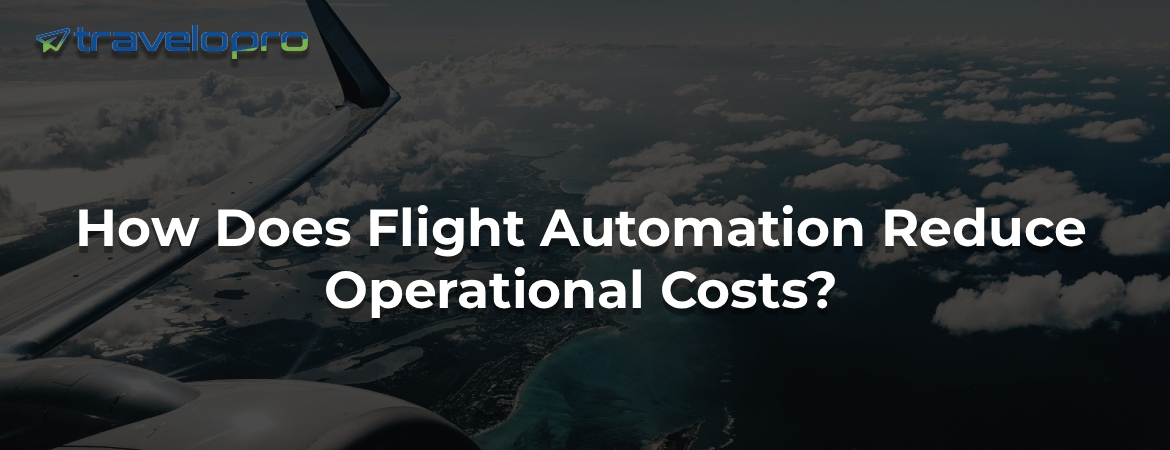 How Does Flight Automation Reduce Operational Costs?