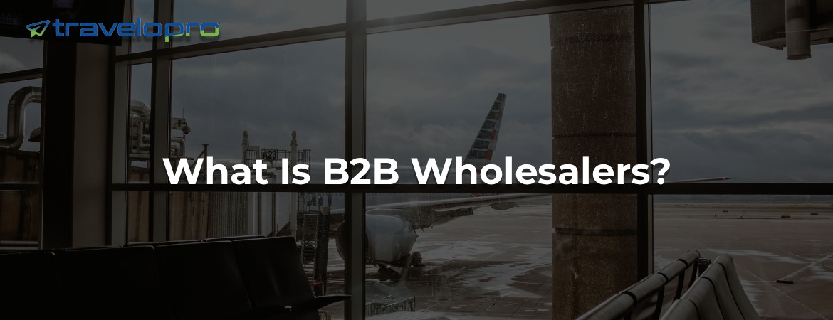 What Is B2B Wholesalers?