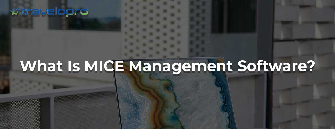 What Is MICE Management Software?