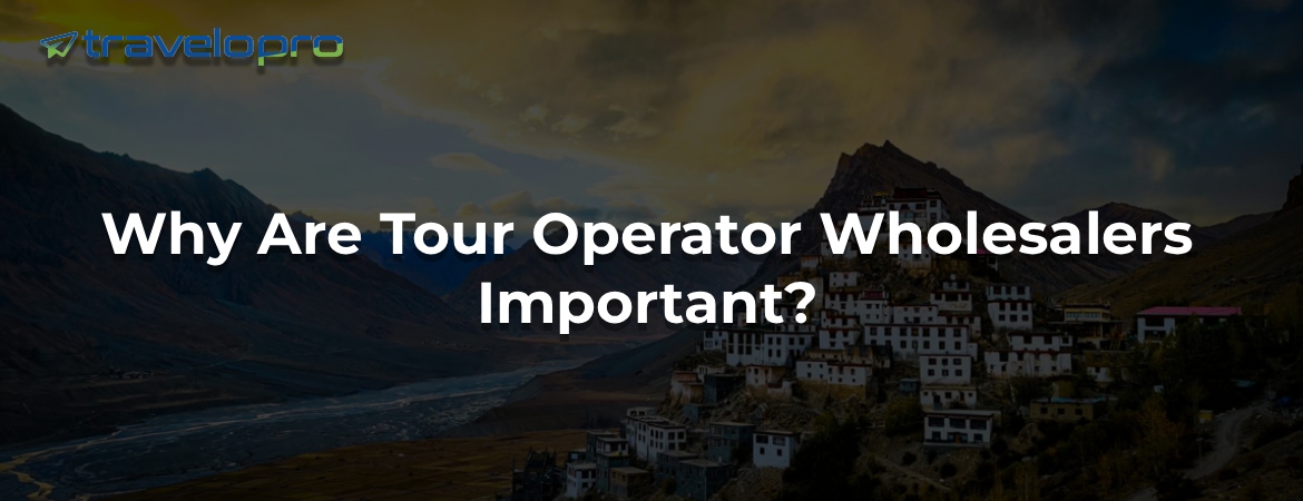 Why Are Tour Operator Wholesalers Important?