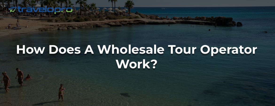How Does A Wholesale Tour Operator Work?