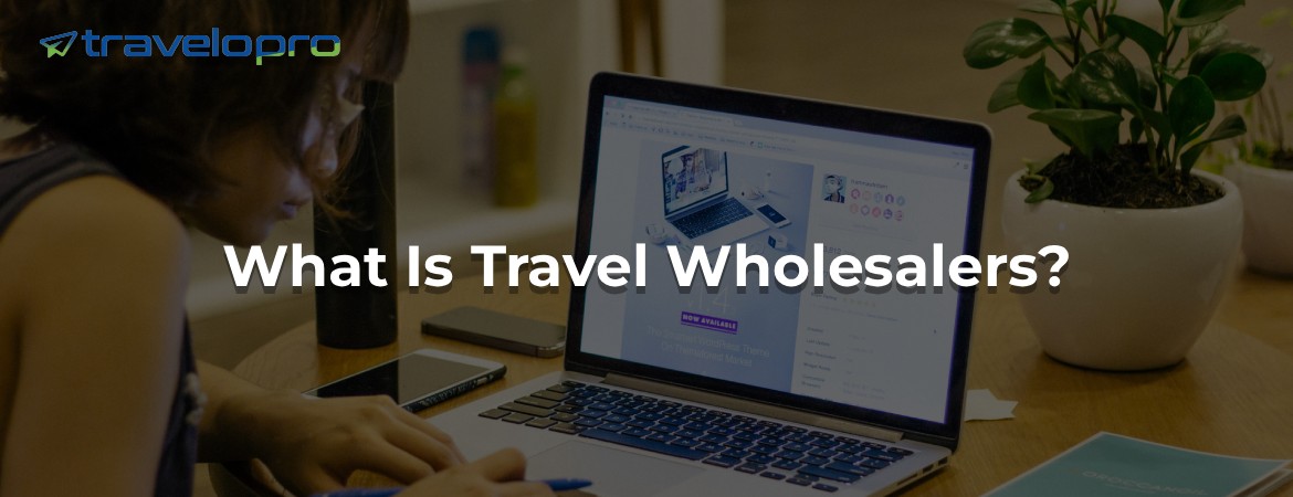 What Is Travel Wholesalers?