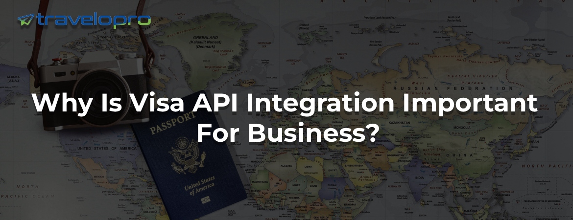 What Is Visa Info API ?